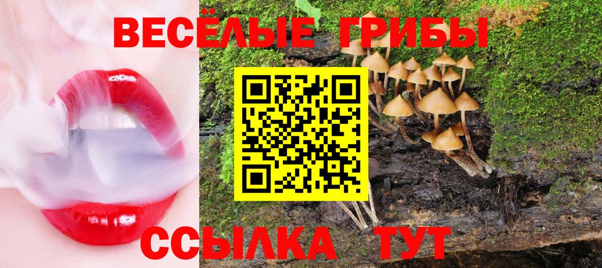 Кызыл  где купить наркоту  Вход с VPN  Галлюциногенные грибы Cubensis 
